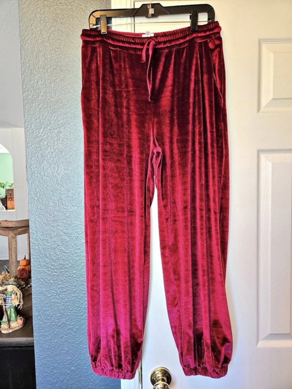 Odana's Velvet Jogger Pants in Burgundy NWOT